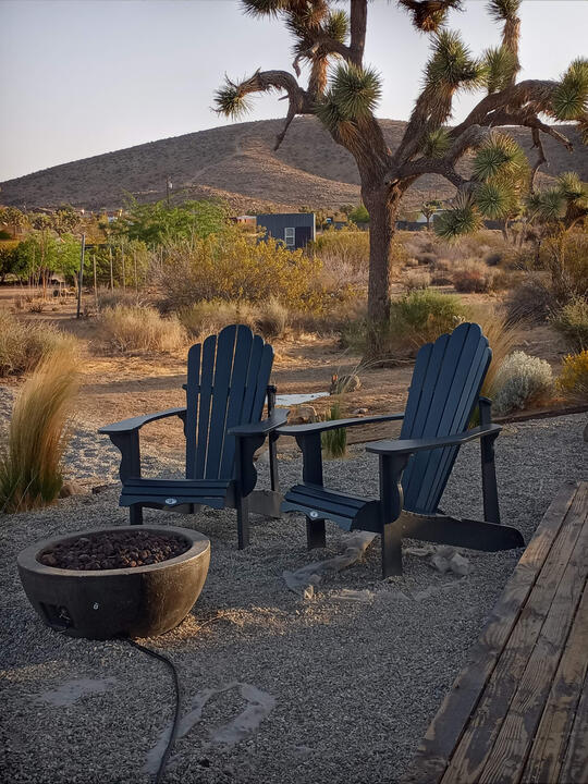 Joshua Tree 5 Joshua Tree