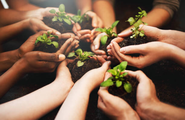 Cultivation After Change Cultivation After Change
