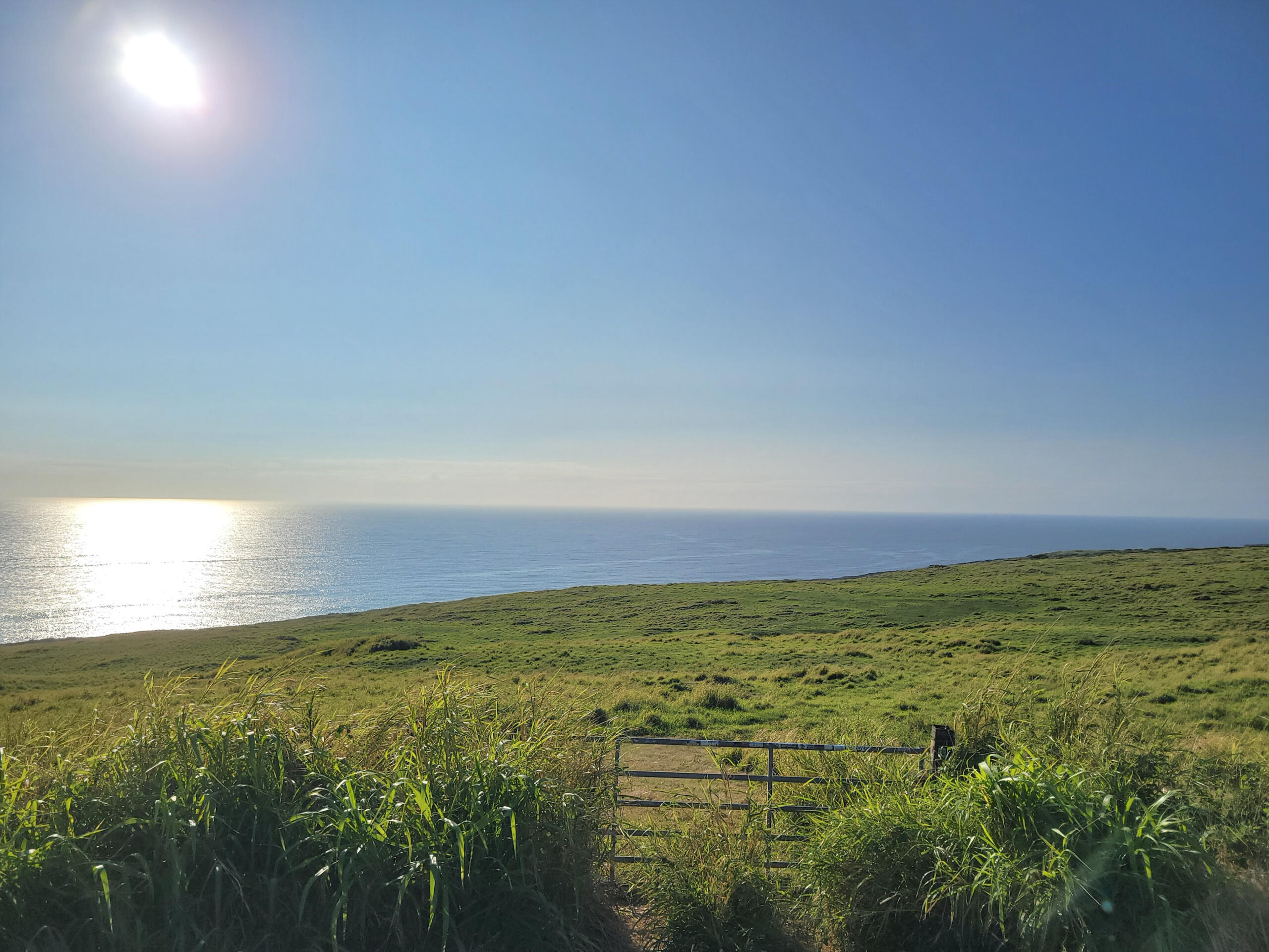 Hawaiian Air Hawaiian Air